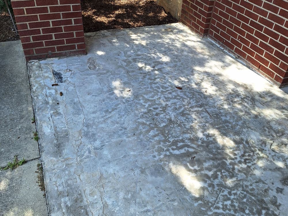 Salty Fox Services jobsite